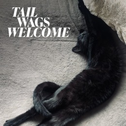 cat laying on floor